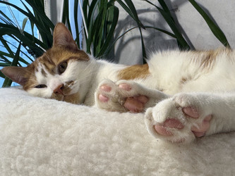 Similar image 22203855