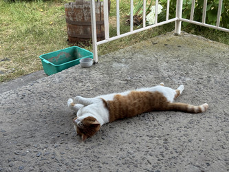 Similar image 22203857