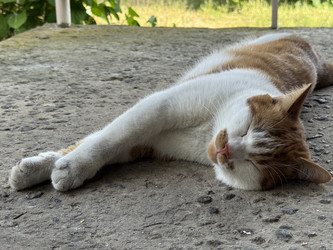 Similar image 22203858