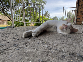 Similar image 22203859