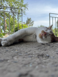 Similar image 22203860