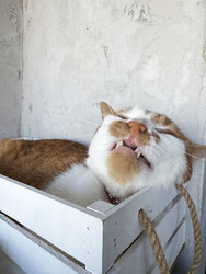 Similar image 22203863