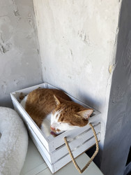 Similar image 22203864