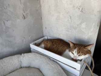 Similar image 22203865