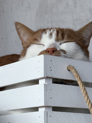 Similar image 22203866