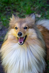 Similar image 22208630