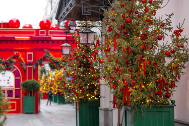 Similar image 22205715