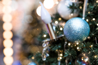 Similar image 22205719