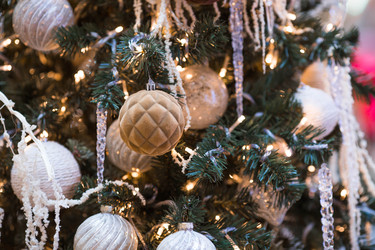 Similar image 22205724