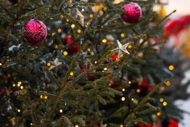 Similar image 22205726