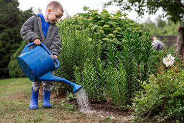 Similar image 22205729