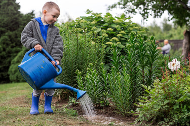 Similar image 22205731