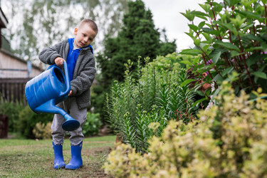 Similar image 22205732