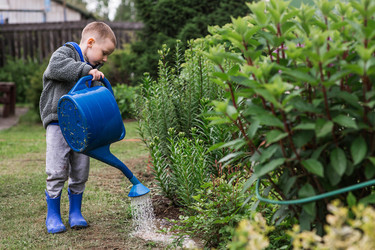 Similar image 22205733