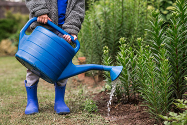 Similar image 22205734