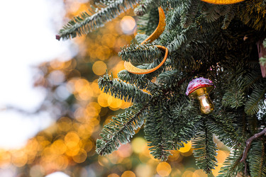 Similar image 22205746