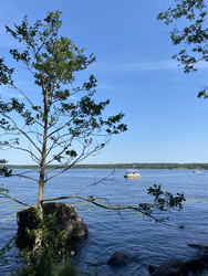 Similar image 22204259