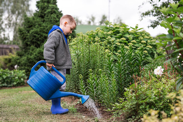 Similar image 22205379