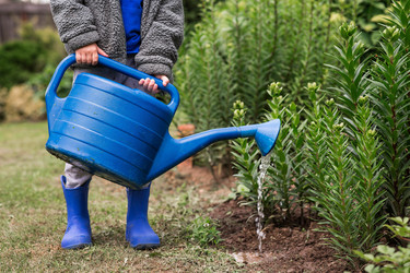 Similar image 22205380