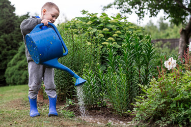 Similar image 22205384