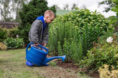 Similar image 22205387