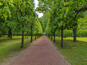 Similar image 22204262