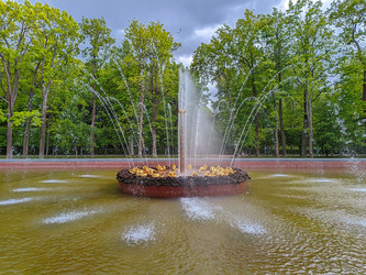 Similar image 22204264