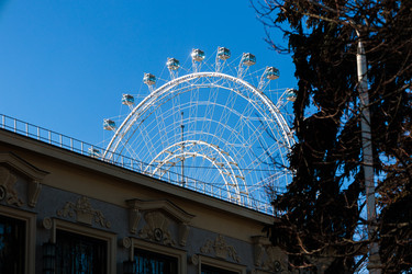 Similar image 22203578