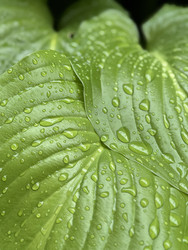 Similar image 22204266