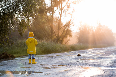 Similar image 22205393