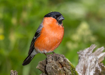 Similar image 22204267