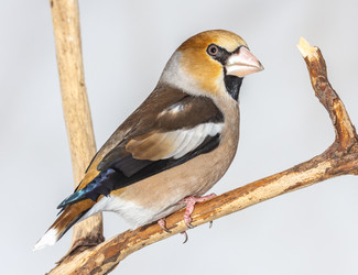 Similar image 22204269