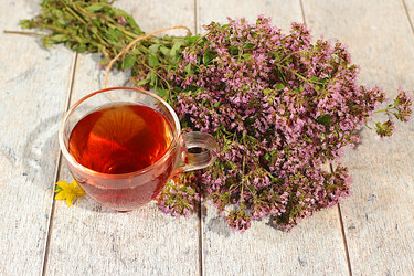 Similar image 22205041