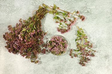 Similar image 22205046