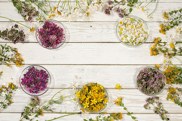 Similar image 22205048