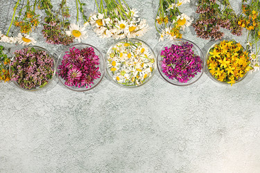 Similar image 22205050