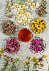 Similar image 22205051