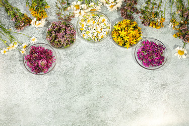 Similar image 22205052