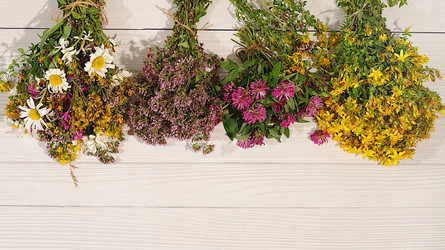 Similar image 22205055