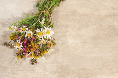 Similar image 22205056