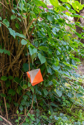 Similar image 22208633