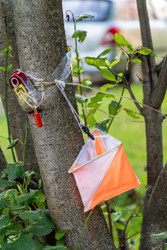 Similar image 22208634