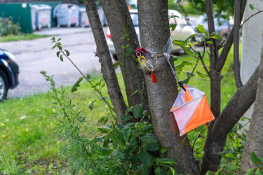 Similar image 22208635