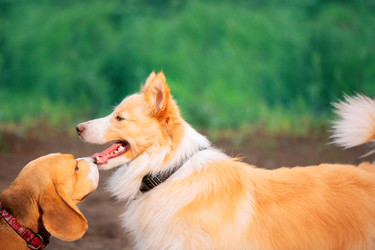 Similar image 22203589