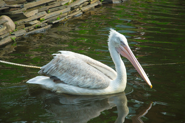 Similar image 22210460