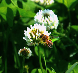 Similar image 22210461