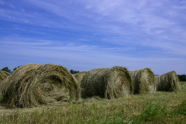 Similar image 22204358