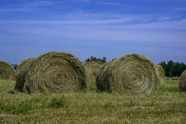 Similar image 22204359