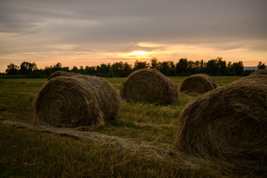 Similar image 22204361