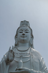 Similar image 22204282